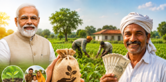 PM-Kisan Yojana Extension: केंद्रीय कैबिनेट का बड़ा फैसला! 2030-31 तक जारी रहेगी PM किसान योजना, 3.15 लाख करोड़ रुपये मंजूर PM-Kisan Yojana Extension
